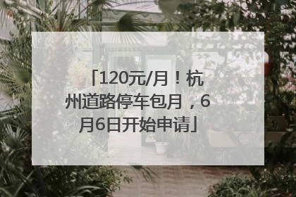 120元/月！杭州道路停车包月，6月6日开始申请