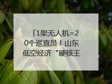 1架无人机=20个巡查员！山东低空经济“硬核王炸”亮相青岛，下一个万亿赛道藏在这里