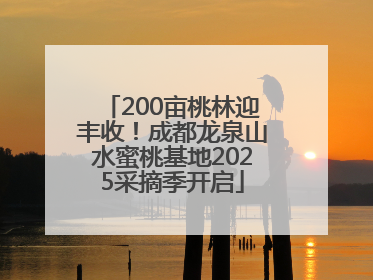 200亩桃林迎丰收！成都龙泉山水蜜桃基地2025采摘季开启