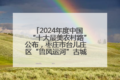 2024年度中国“十大最美农村路”公布，枣庄市台儿庄区“鲁风运河”古城文化廊道上榜！