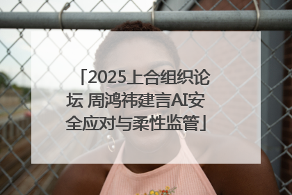 2025上合组织论坛 周鸿祎建言AI安全应对与柔性监管