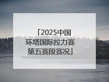 2025中国环塔国际拉力赛第五赛段赛况