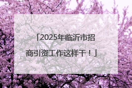 2025年临沂市招商引资工作这样干！