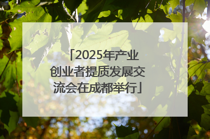 2025年产业创业者提质发展交流会在成都举行