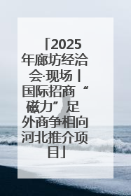 2025年廊坊经洽会·现场丨国际招商“磁力”足 外商争相向河北推介项目