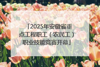 2025年安徽省重点工程职工（农民工）职业技能竞赛开幕