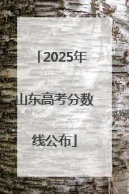 2025年山东高考分数线公布