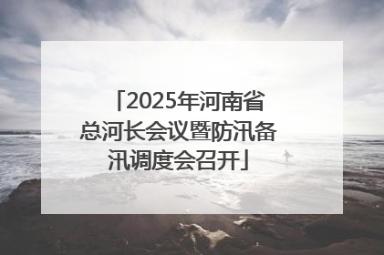2025年河南省总河长会议暨防汛备汛调度会召开