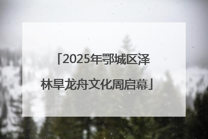2025年鄂城区泽林旱龙舟文化周启幕