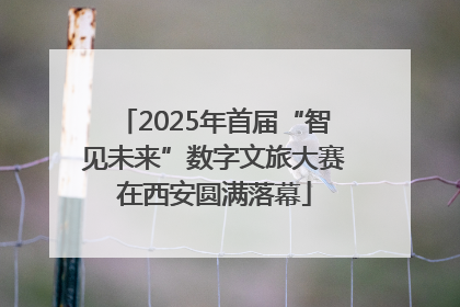 2025年首届“智见未来”数字文旅大赛在西安圆满落幕