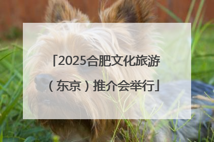 2025合肥文化旅游（东京）推介会举行