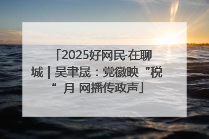 2025好网民·在聊城｜吴聿晟：党徽映“税”月 网播传政声