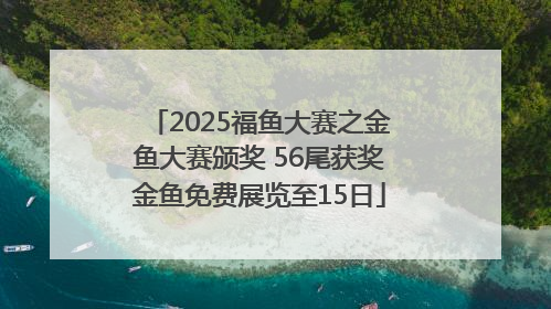 2025福鱼大赛之金鱼大赛颁奖 56尾获奖金鱼免费展览至15日