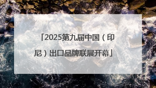 2025第九届中国（印尼）出口品牌联展开幕