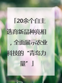 20余个自主选育新品种亮相，全面展示农业科技的“青岛力量”