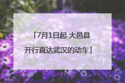 7月1日起 大邑县开行直达武汉的动车