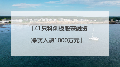 41只科创板股获融资净买入超1000万元