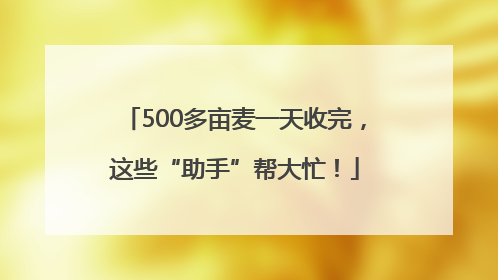500多亩麦一天收完，这些“助手”帮大忙！