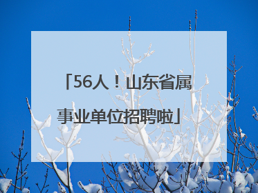 56人！山东省属事业单位招聘啦