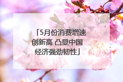 5月份消费增速创新高 凸显中国经济强劲韧性