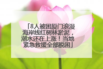 8人被困厦门浪漫海岸线红树林淤泥，潮水还在上涨！当地紧急救援全部脱困