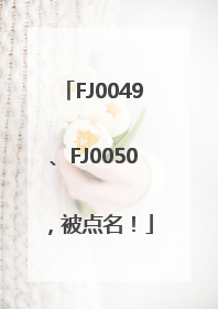 FJ0049、FJ0050，被点名！